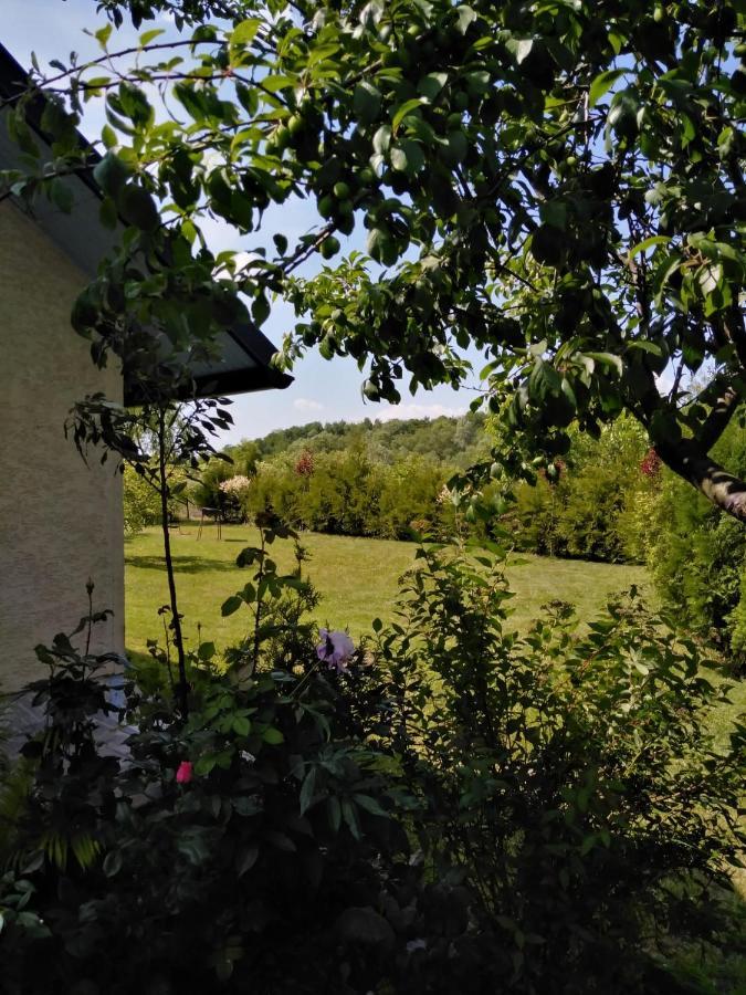 Casa Mamei Suceava Exterior photo